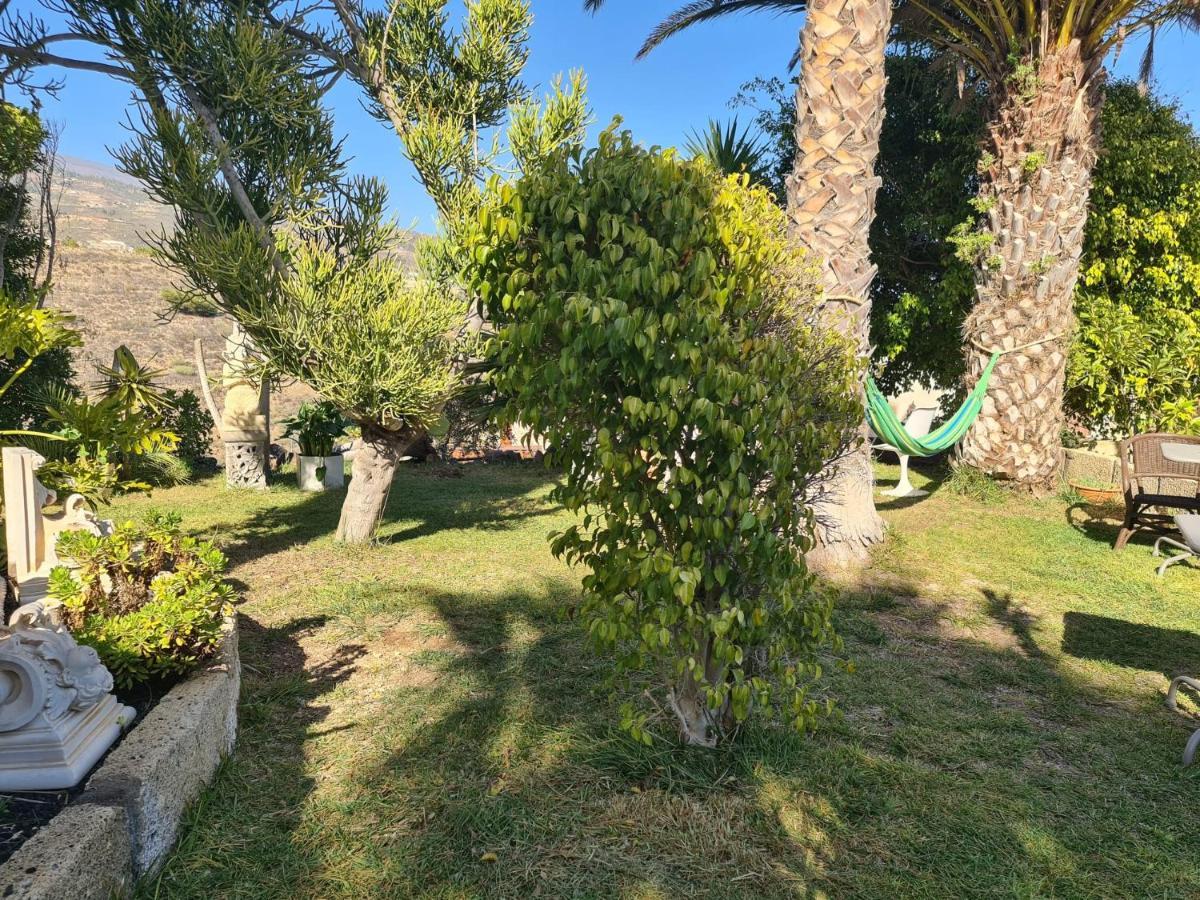Finca Tropical Arico Viejo Ngoại thất bức ảnh