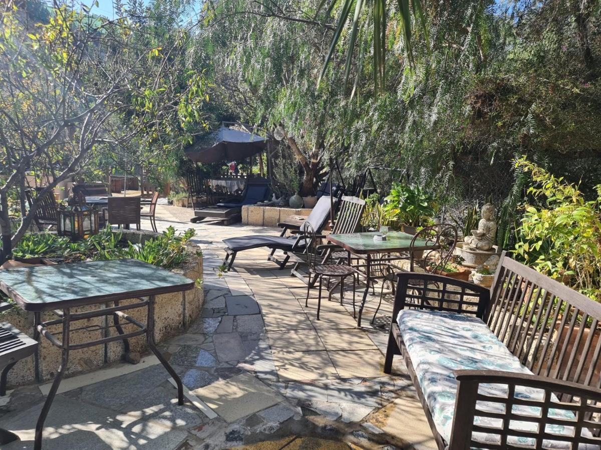 Finca Tropical Arico Viejo Ngoại thất bức ảnh