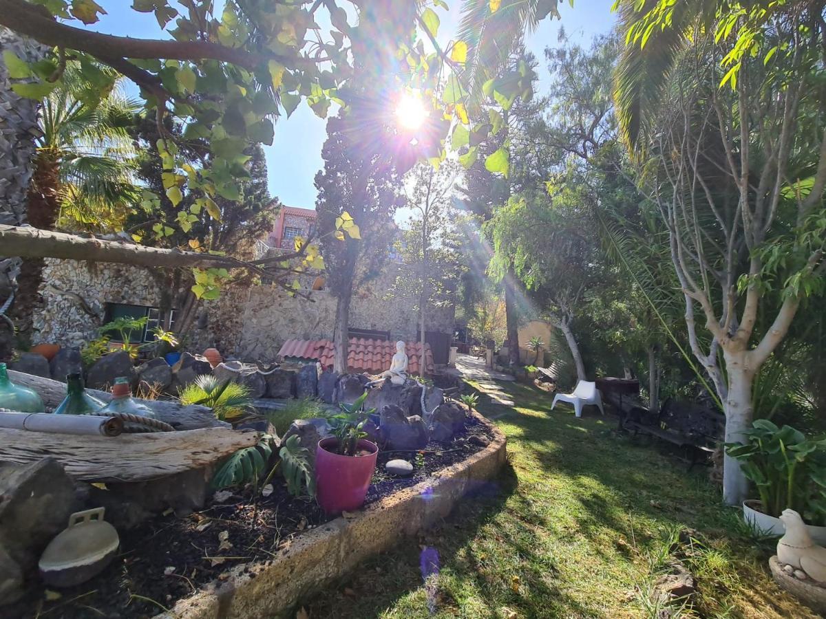 Finca Tropical Arico Viejo Ngoại thất bức ảnh