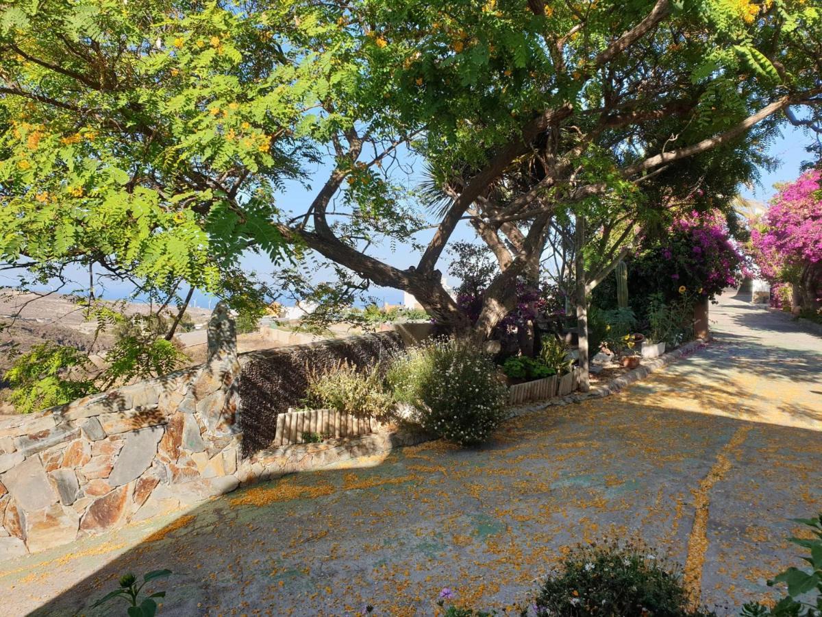 Finca Tropical Arico Viejo Ngoại thất bức ảnh