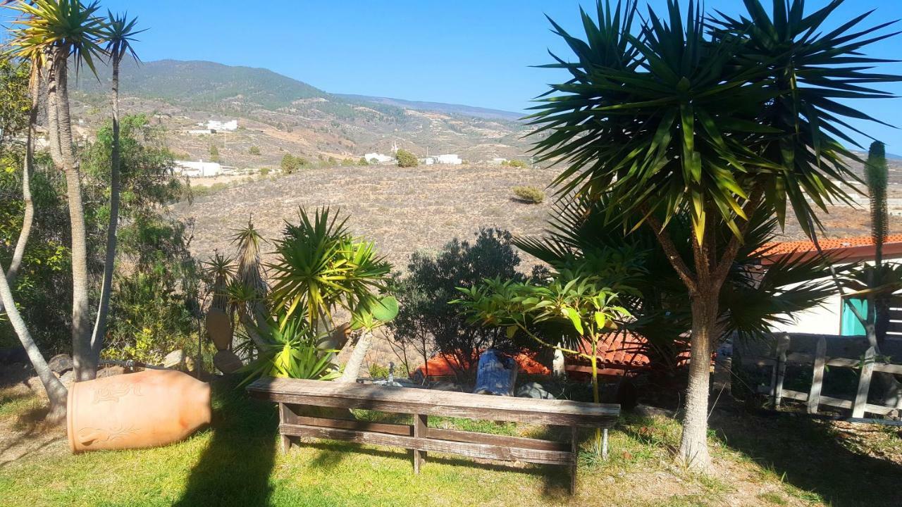 Finca Tropical Arico Viejo Ngoại thất bức ảnh