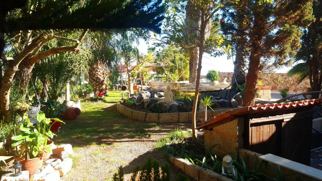 Finca Tropical Arico Viejo Ngoại thất bức ảnh