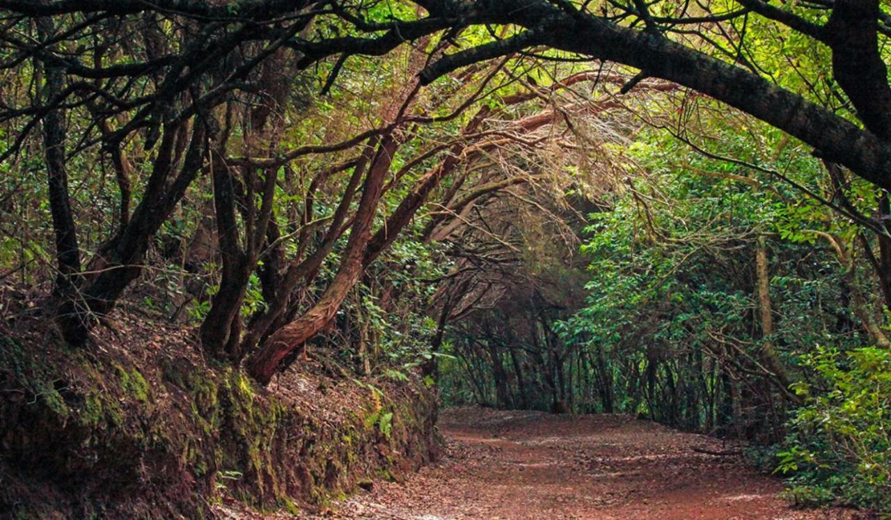 Finca Tropical Arico Viejo Ngoại thất bức ảnh