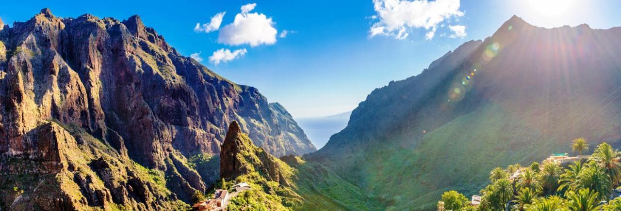 Finca Tropical Arico Viejo Ngoại thất bức ảnh